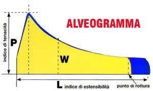 alveogramma